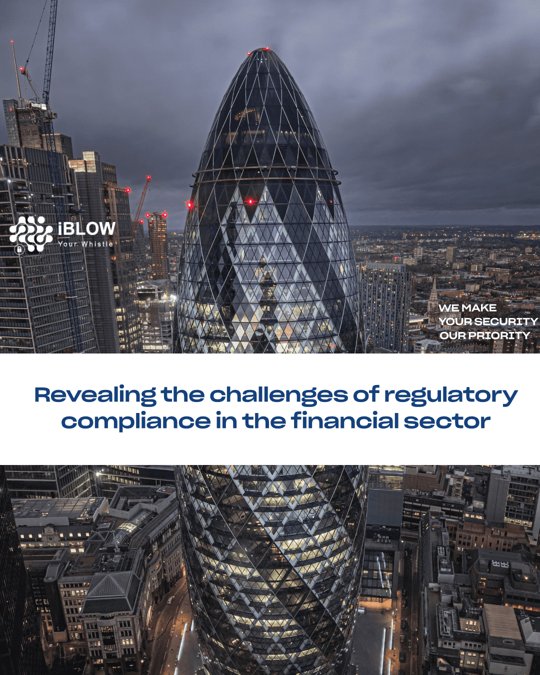 Revealing the challenges of regulatory compliance in the financial sector
