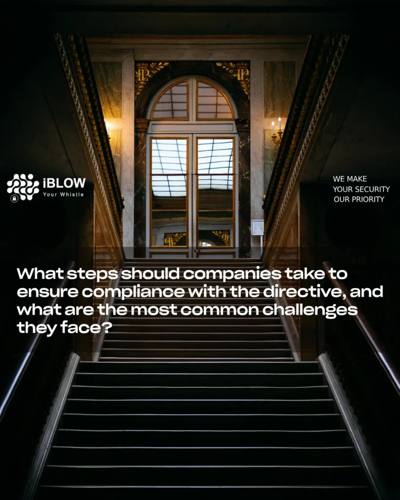 What steps should companies take to ensure compliance with the directive and what are the most common challenges - iBlow